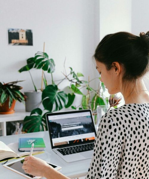 pexels-shvetsa-3987018